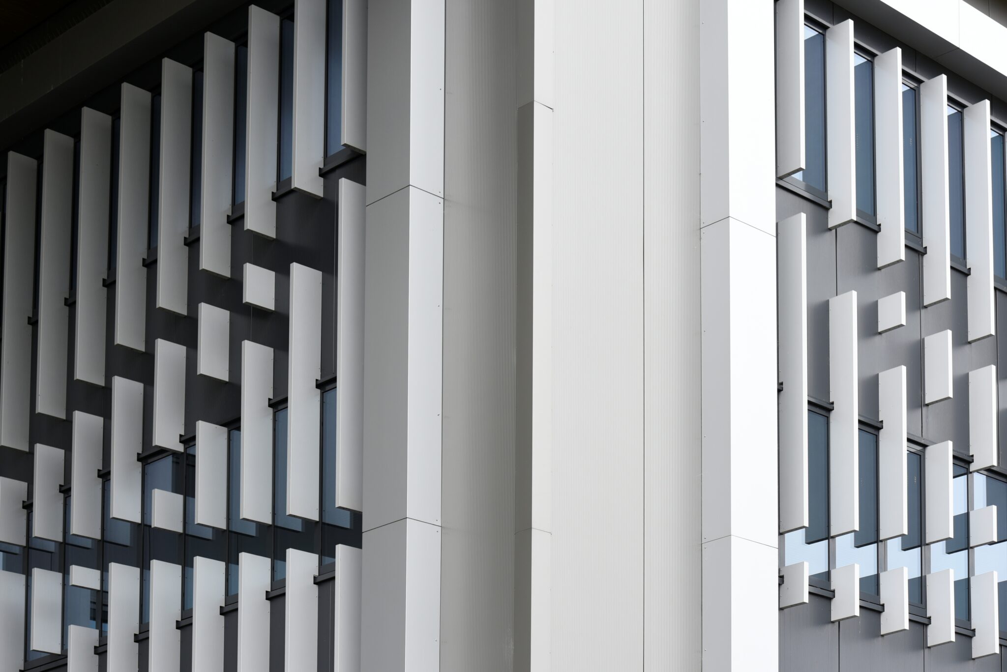 _DAP0935 foto Désirée Hofland ©