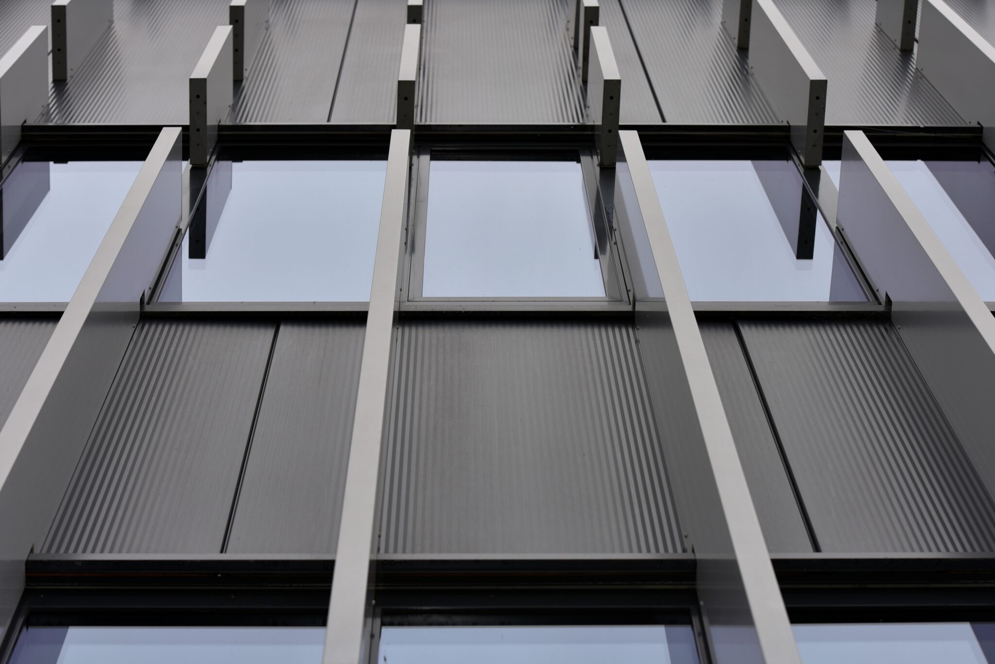 _DAP0953 foto Désirée Hofland ©