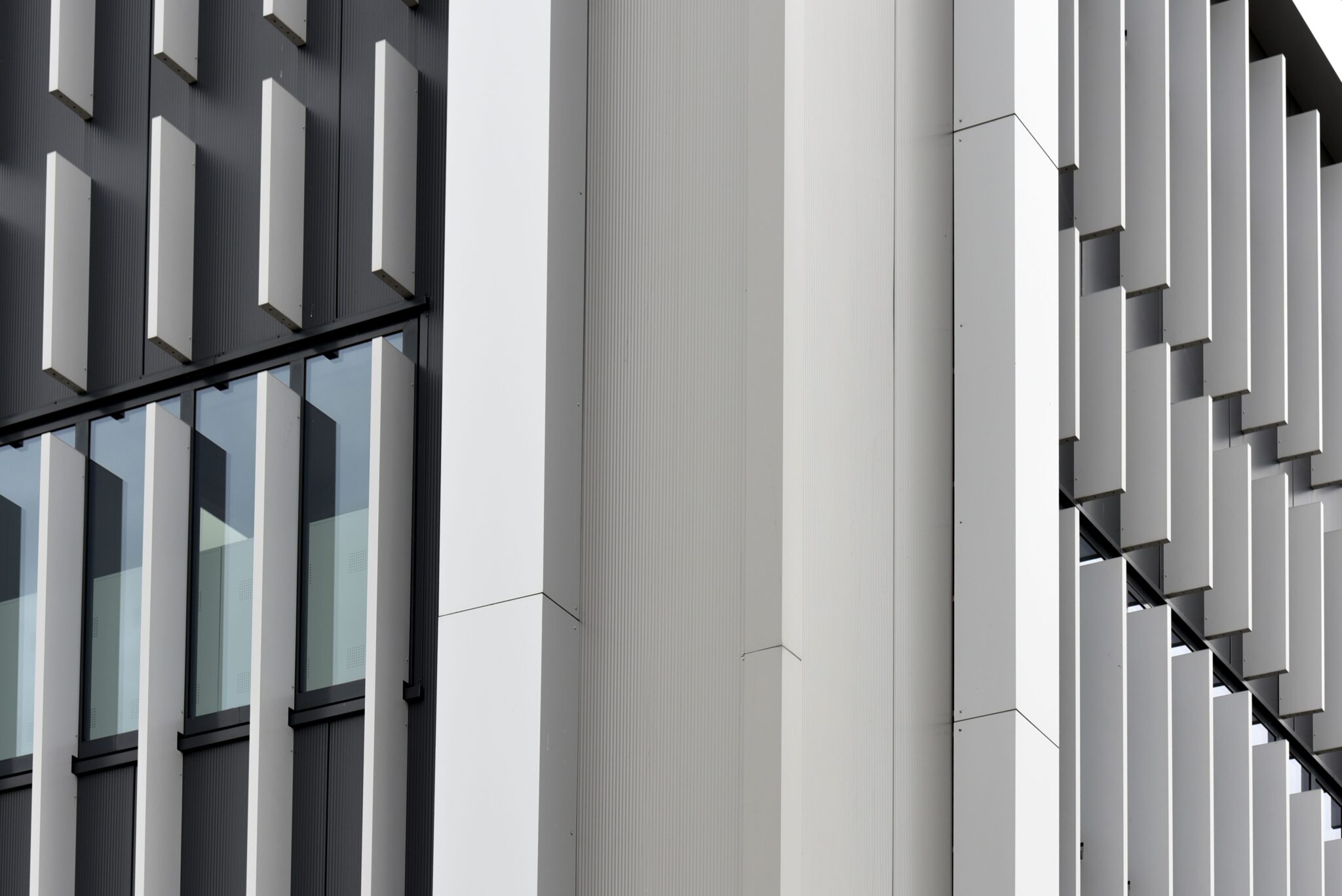 _DAP0956 foto Désirée Hofland ©