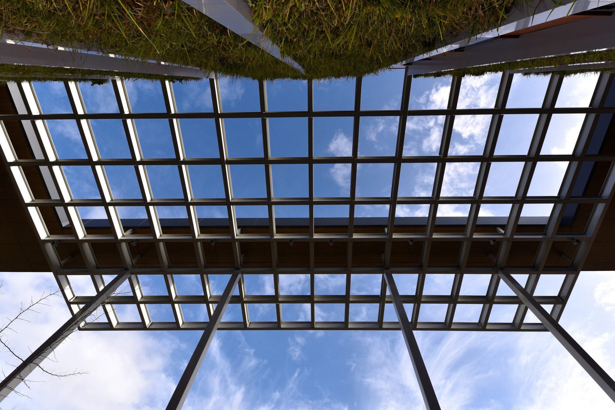 _DAP3758 foto Désirée Hofland ©