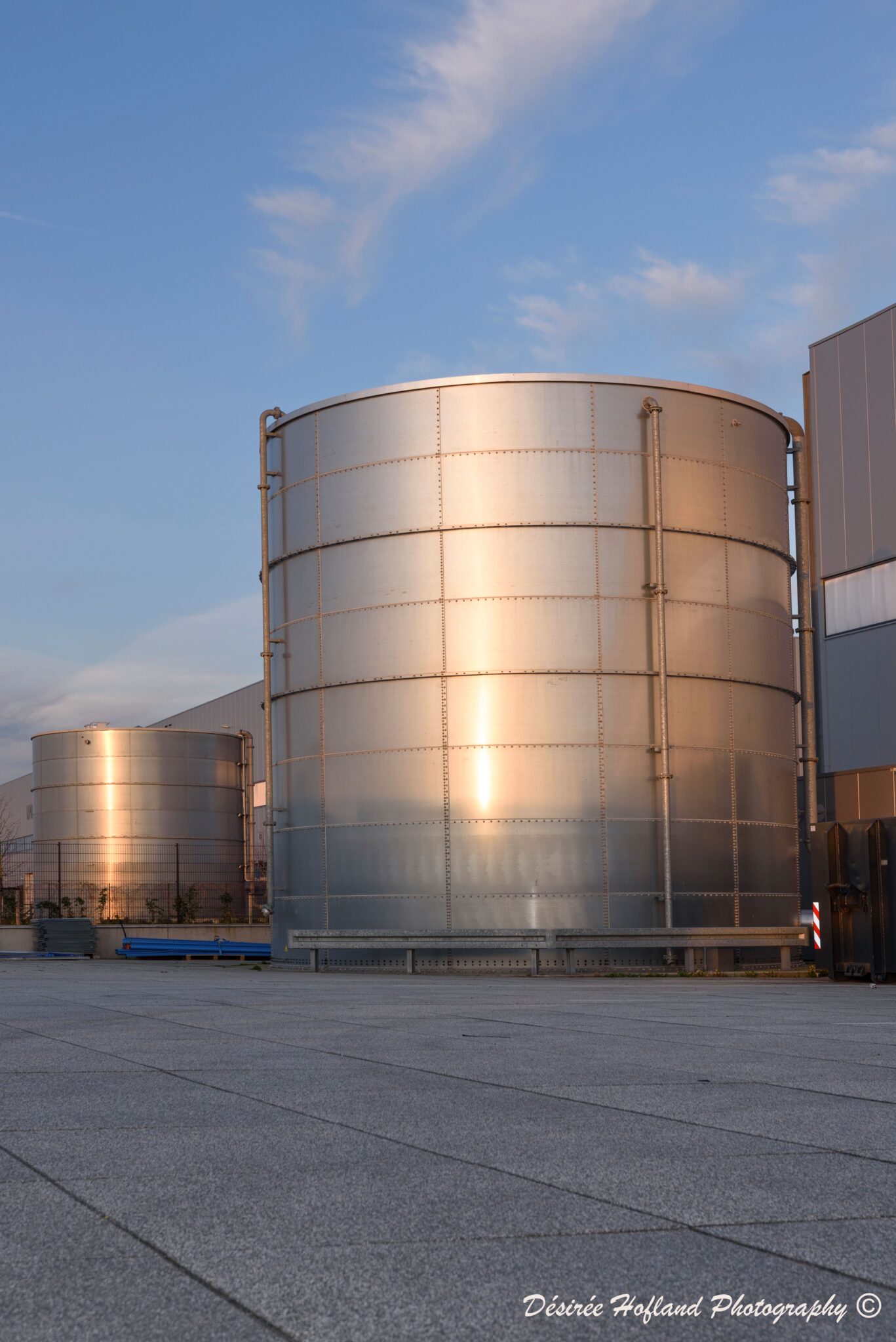 _DAP3806 foto Désirée Hofland ©