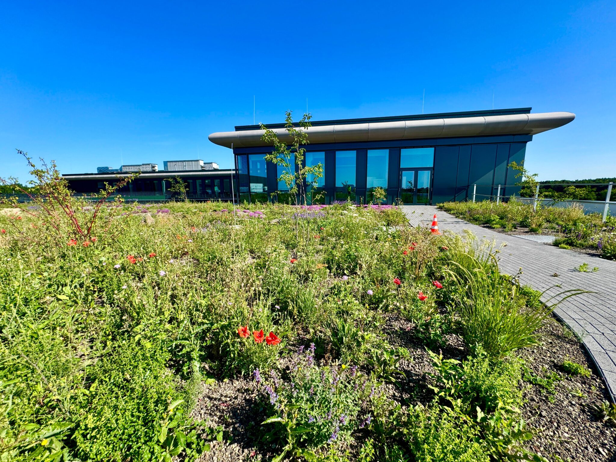 PHOTO-2025-06-20-11-21-32c