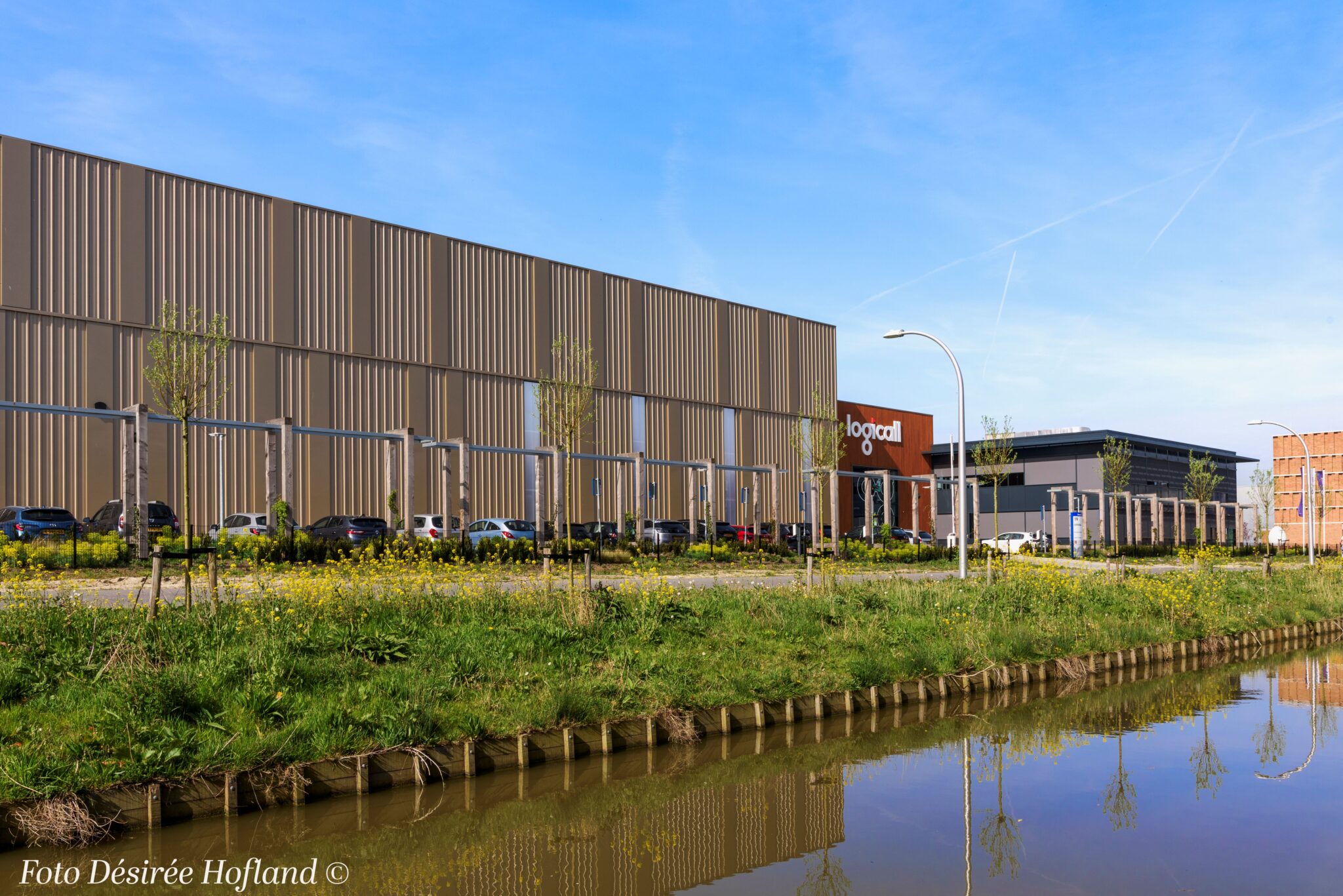 _DAP3876 foto Désirée Hofland ©