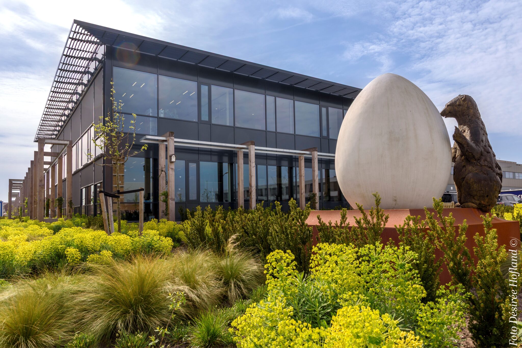 _DAP3931 foto Désirée Hofland ©