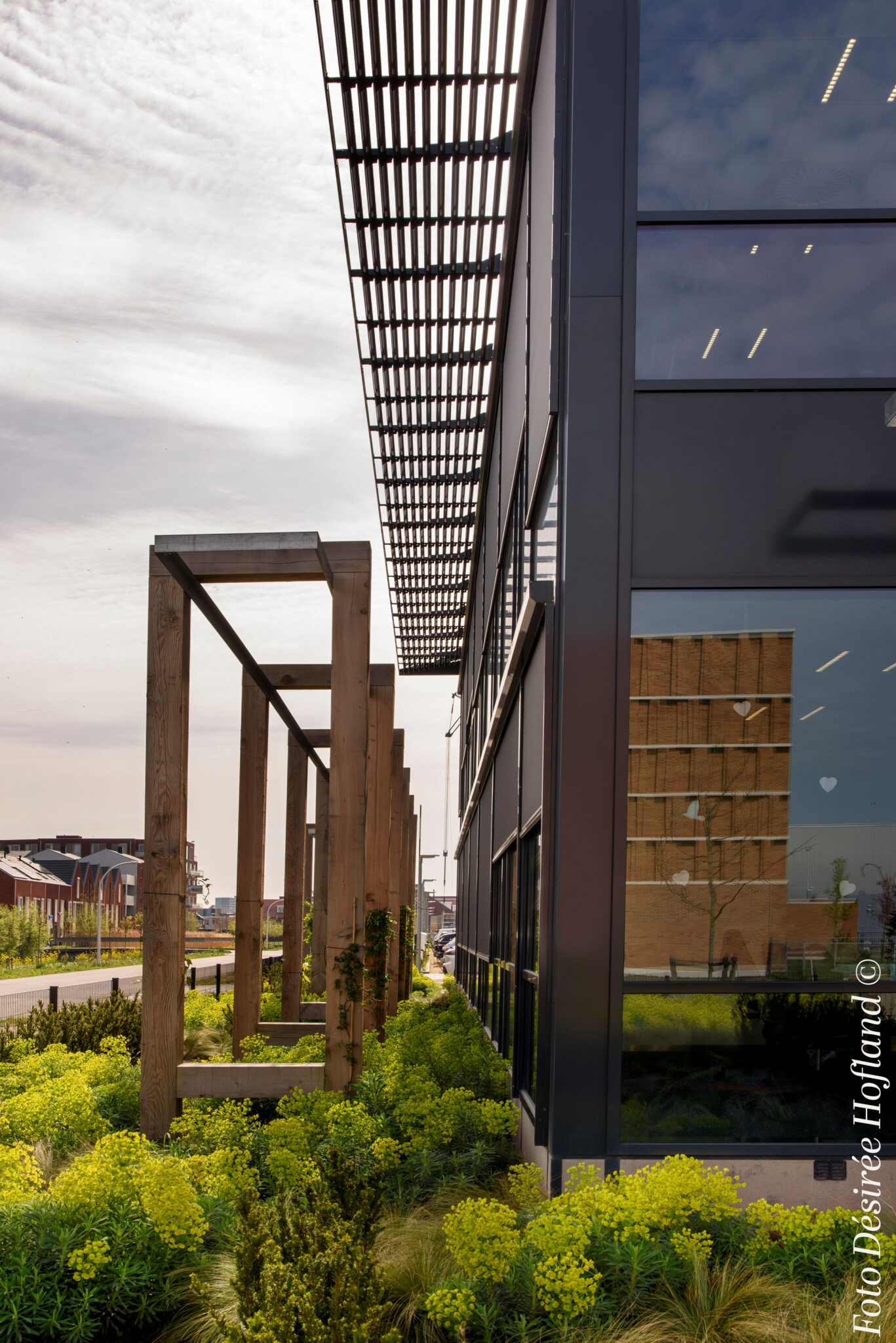 _DAP3936 foto Désirée Hofland ©