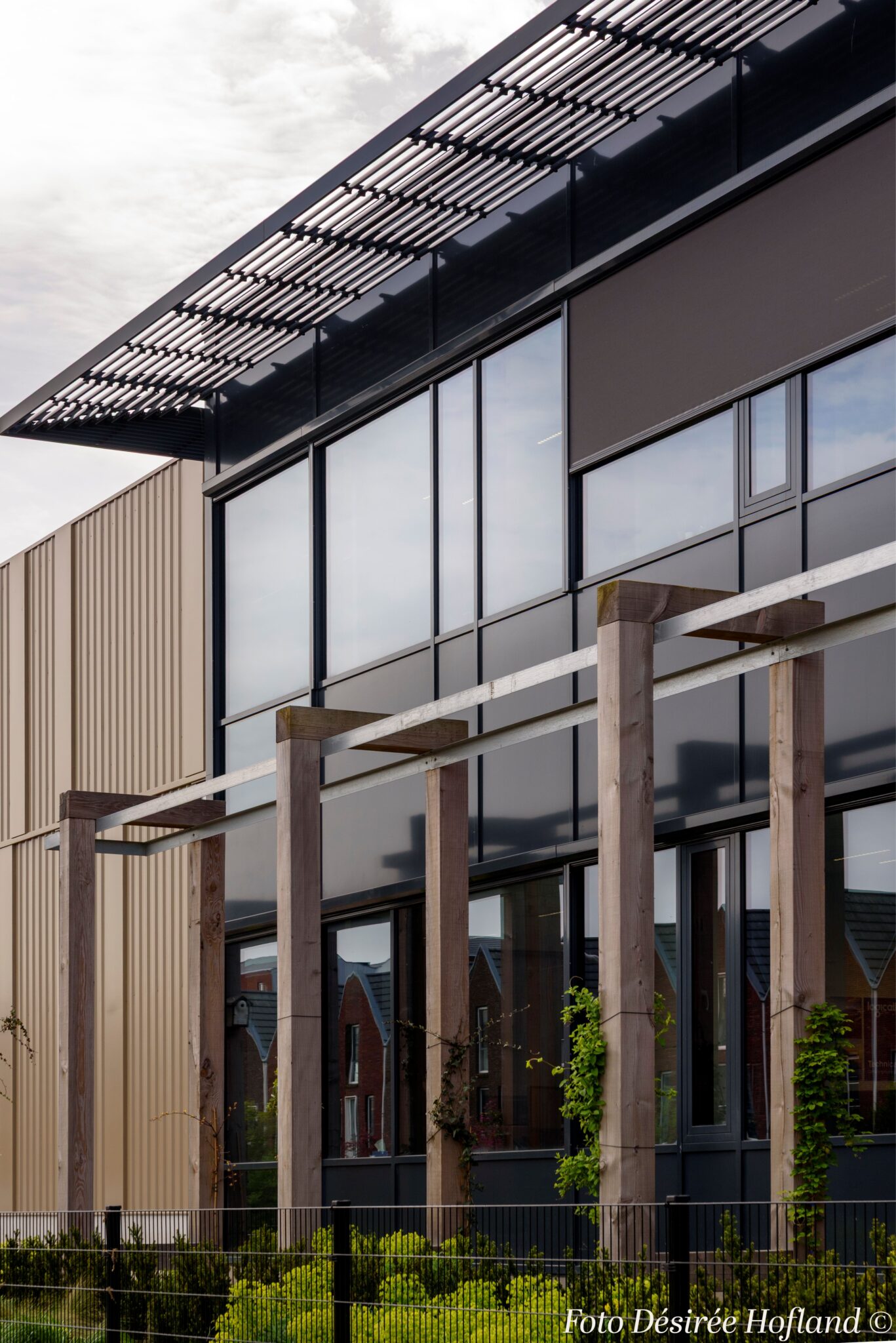 _DAP4036 foto Désirée Hofland ©